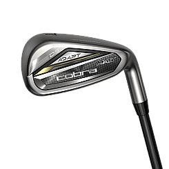 Cobra DS-Adapt MAX Women's - 6 irons - Graphite (custom)