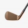 Titleist T250 Oil Can Limited Edition - 6 irons (custom)