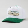 The Gimme Tour - Play Blades Snapback Cap