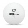 Wilson Staff Model -26