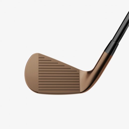 Titleist T100 Oil Can Limited Edition - 6 irons (custom)