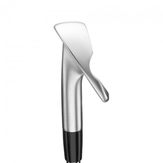 Mizuno Pro S1 - 6 Irons - Custom