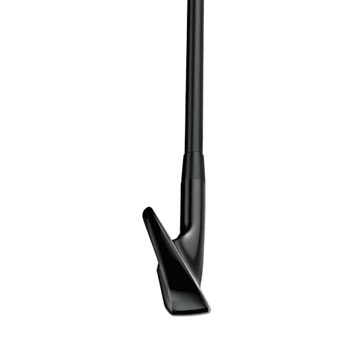 Titleist T100 2025 Black Vapor - 6 irons (custom)